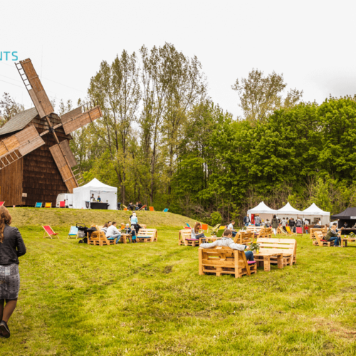 alstom-piknik-firmowy-2017-organizacja-strefy-namiotowej