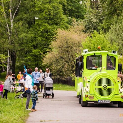 rodzinny-piknik-firmowy-alstom-26